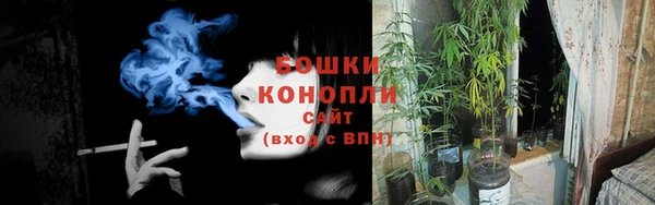 прущие крисы Остров