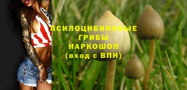 бутират Осинники