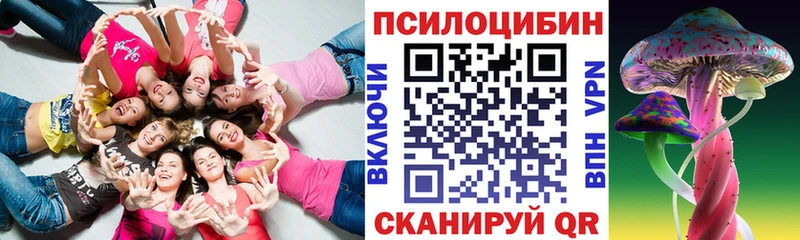 мега онион  Шлиссельбург  Галлюциногенные грибы Cubensis 